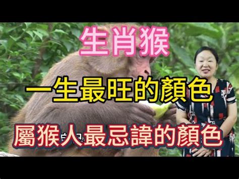 辛酉 納音 屬猴適合樓層